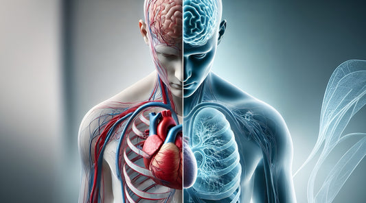 The Heart-Brain Connection, How Improving Cardiovascular Health May Delay Alzheimer’s Disease