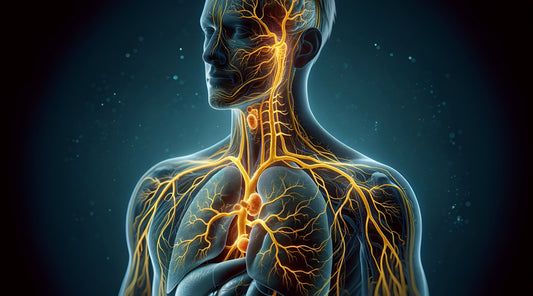 Vagus Nerve Stimulation Boosts Mental and Physical Health